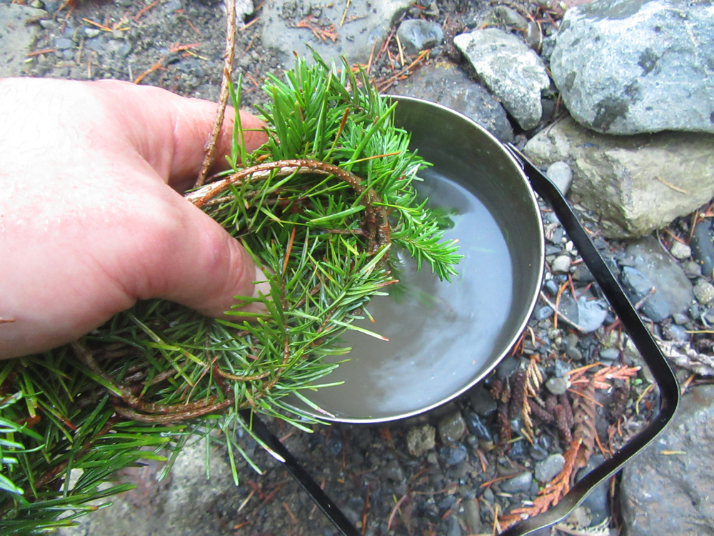 How to Cook Perfect Rice Over a Fire Without Measuring Bushcraft USA